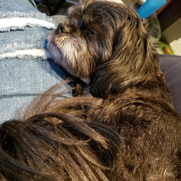 Meet your Posher, Michelle - Picture 3 of 4